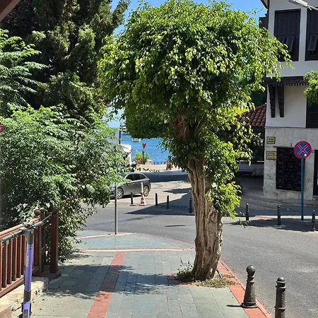 特米兹酒店