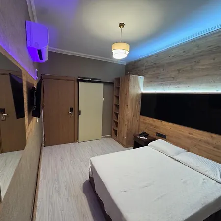 特米兹酒店 酒店 阿拉尼亚