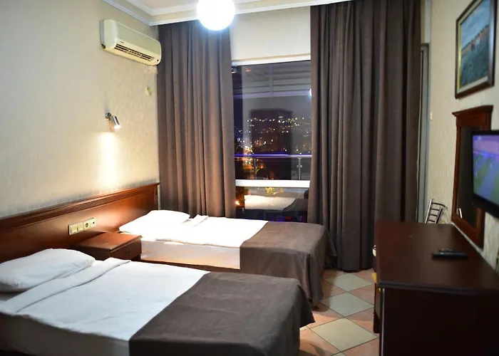 酒店 特米兹酒店 3*