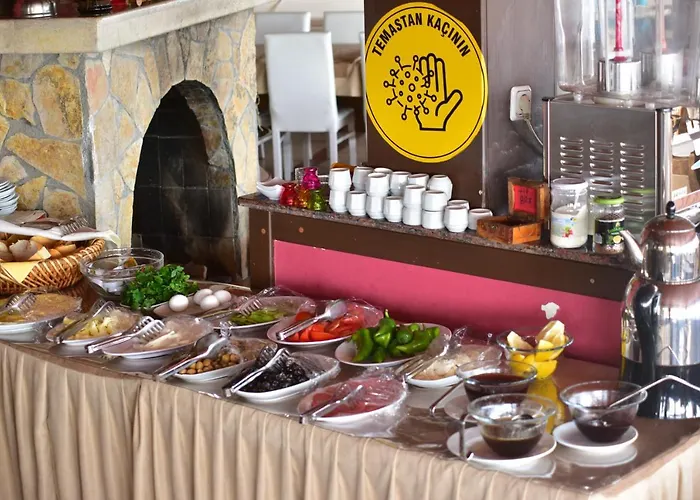 特米兹酒店 3* 阿拉尼亚