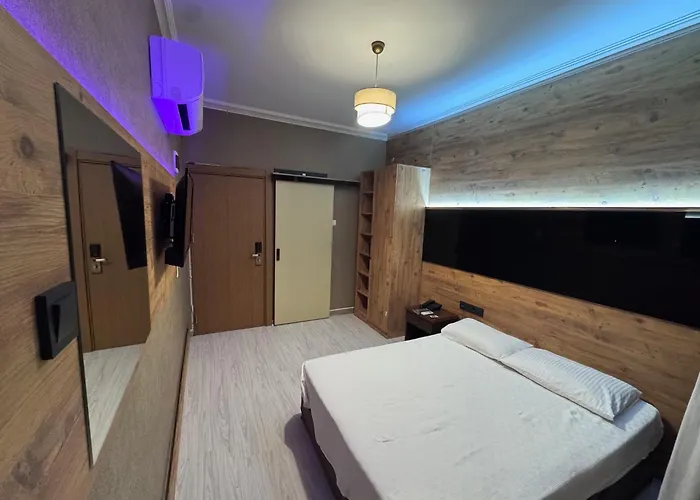 特米兹酒店 酒店 阿拉尼亚