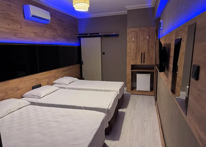 特米兹酒店 阿拉尼亚