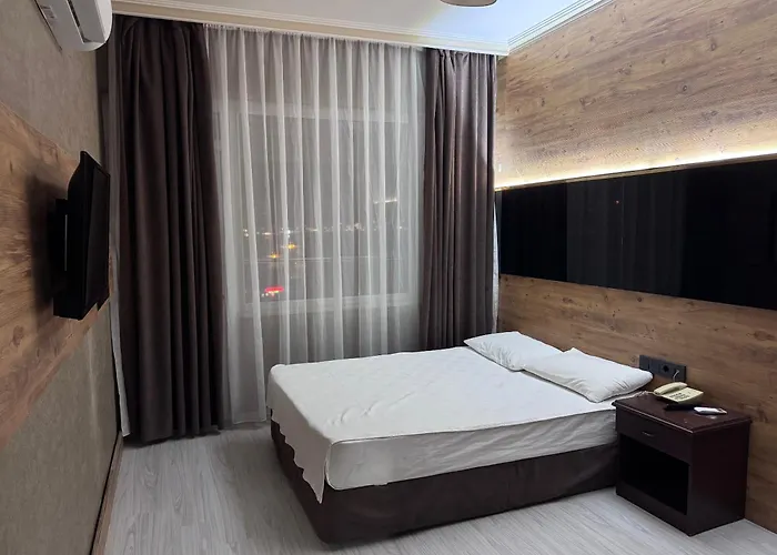 酒店 特米兹酒店